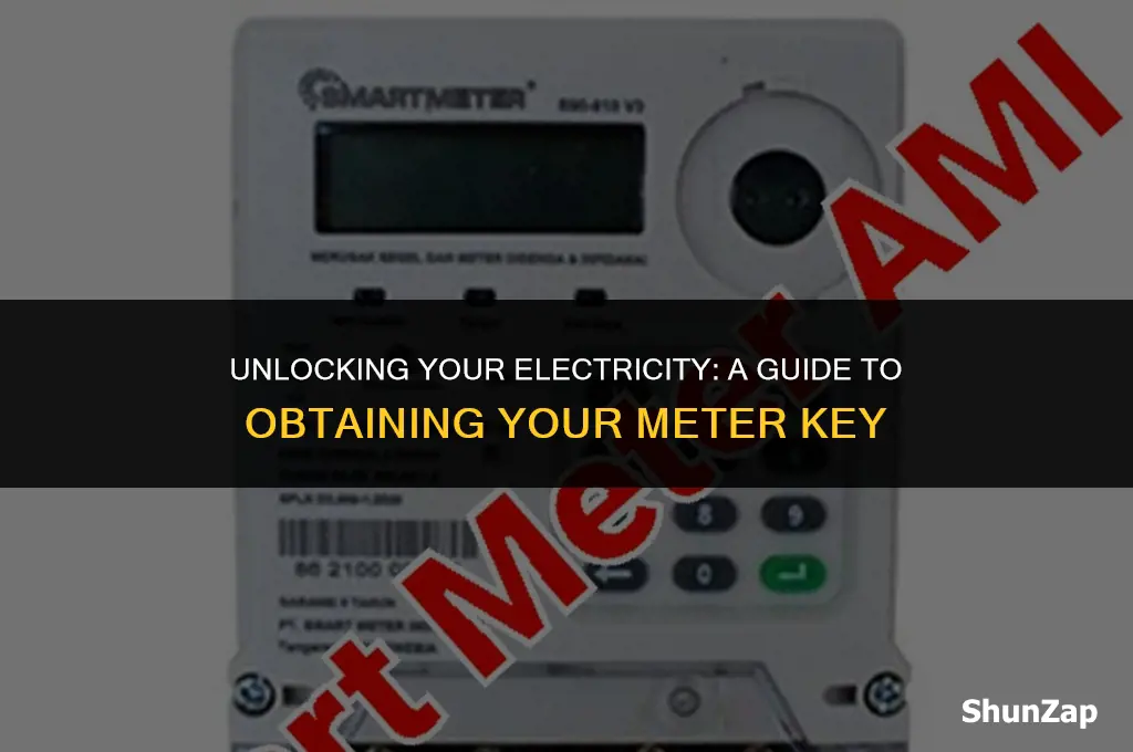 how to get electric meter key