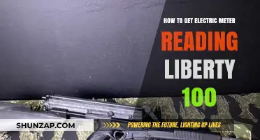 Decoding Your Electric Meter: A Simple Guide to Liberty 100 Readings