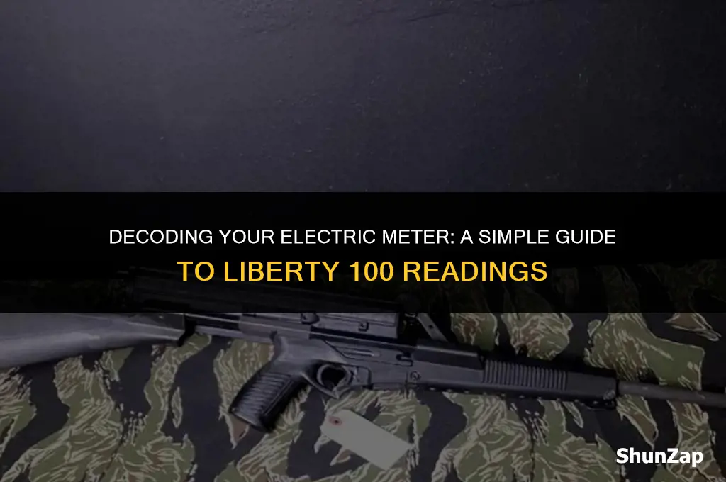 how to get electric meter reading liberty 100
