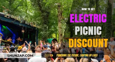 Unlock Savings: Your Guide to Electric Picnic Discounts