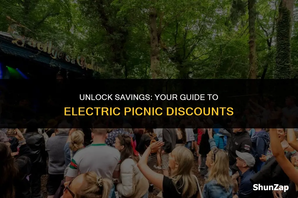 how to get electric picnic discount