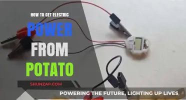 Unleashing the Power of Potatoes: A Guide to Generating Electricity