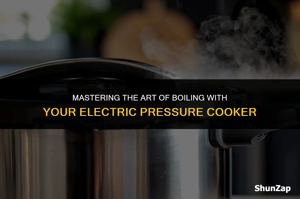 how to get electric pressure cooker to boil
