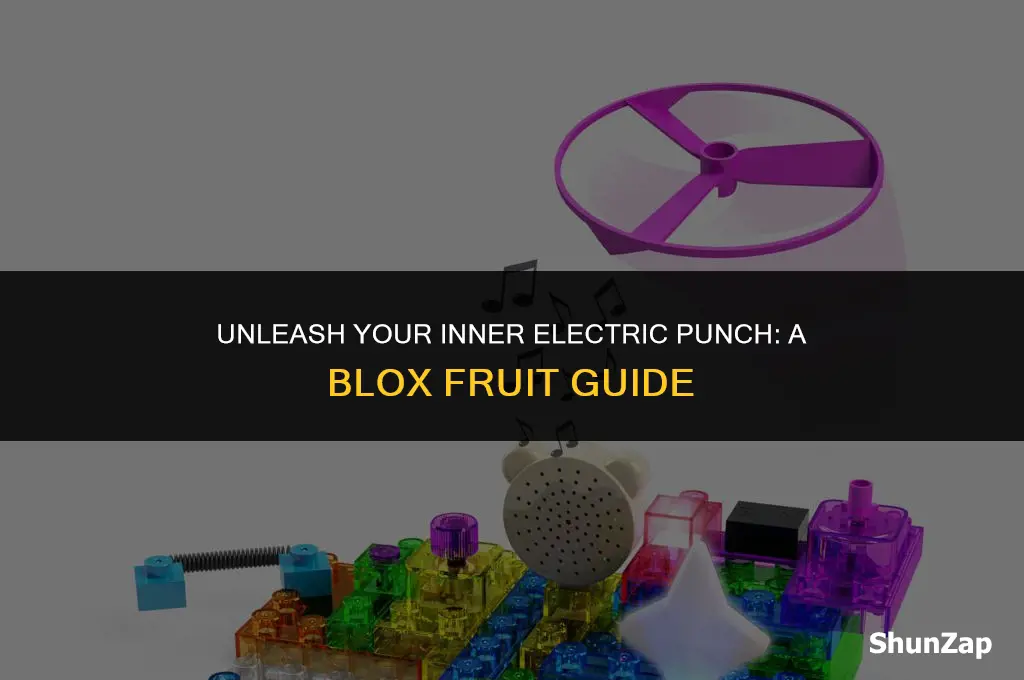 how to get electric punch blox fruit