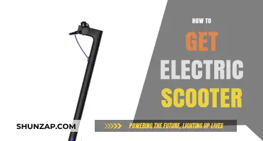Effortless Commuting: Your Guide to Owning an Electric Scooter