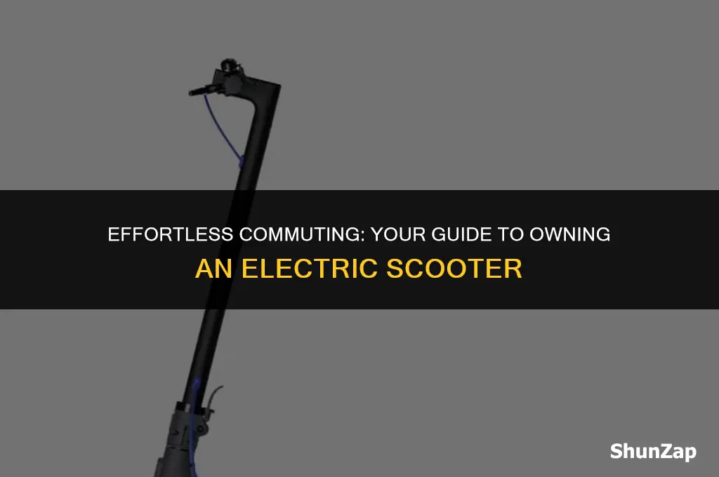 how to get electric scooter