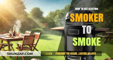 Mastering the Art of Smoking: A Guide to Electric Smokers