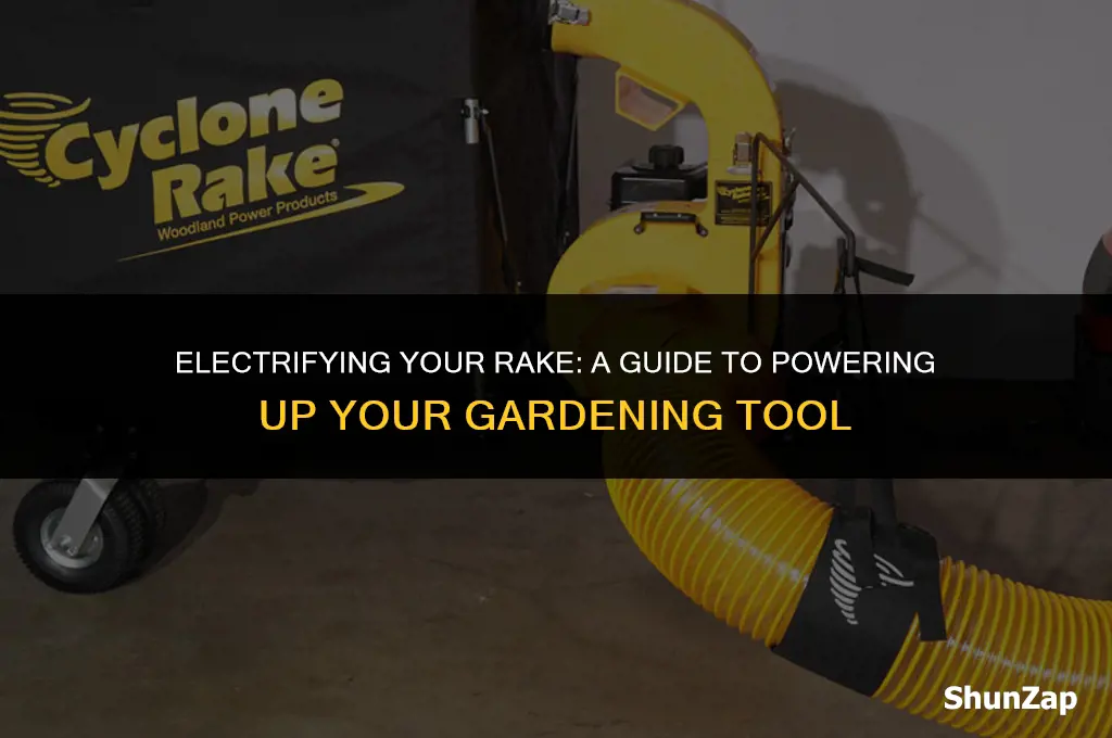 how to get electric staff in the rake