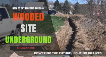 Electrifying Your Wooded Retreat: A Guide to Underground Power