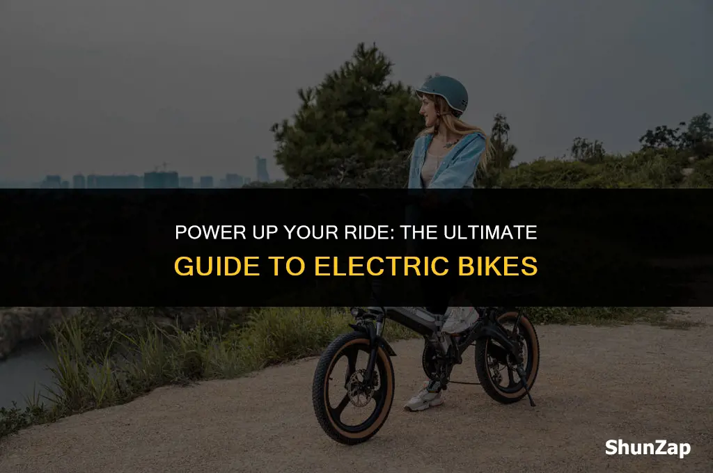 how to get electric wy