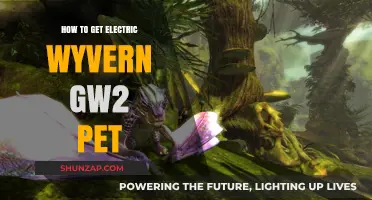 Taming the Electric Wyvern: Your Ultimate GW2 Pet Guide