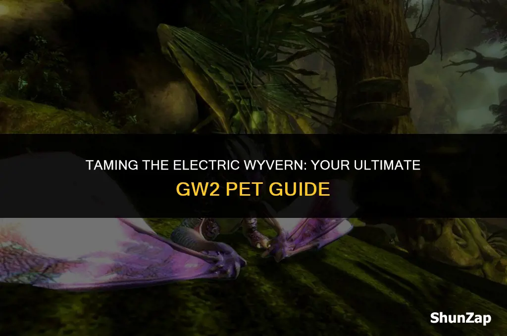 how to get electric wyvern gw2 pet