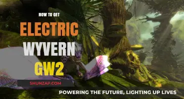 Taming the Electric Wyvern: A GW2 Player's Guide