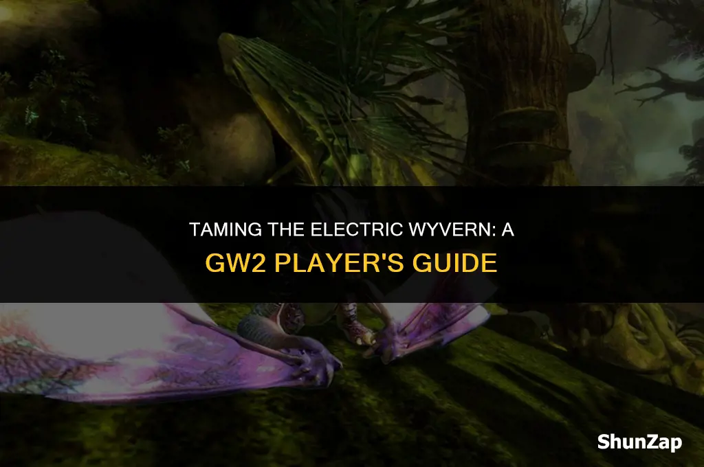 how to get electric wyvern gw2