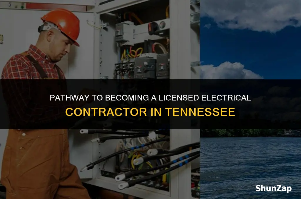 how to get electrical a contractor license tn