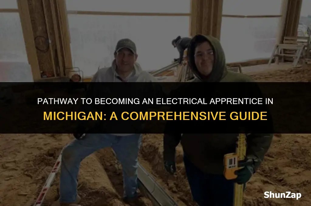 how to get electrical apprentice license in michigan