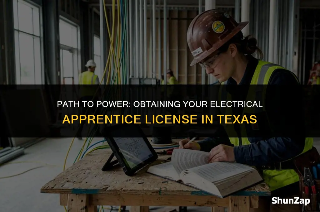 how to get electrical apprentice license in texas