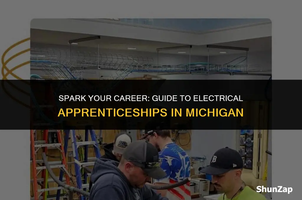 how to get electrical apprenticeship in michigan