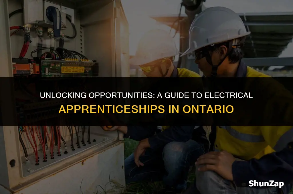 how to get electrical apprenticeship in ontario