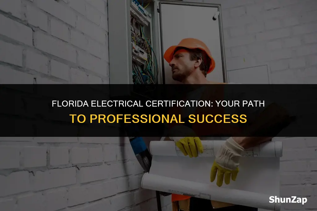 how to get electrical certification in florida