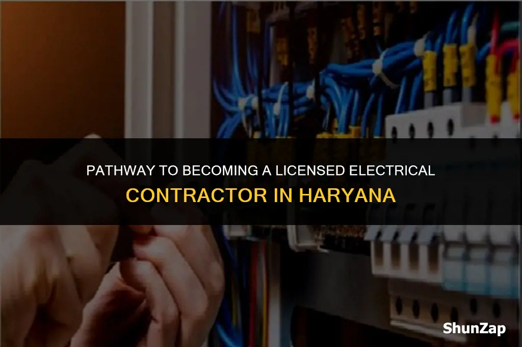 how to get electrical contractor licence in haryana