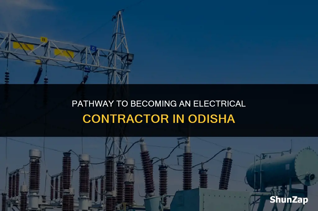 how to get electrical contractor licence in odisha
