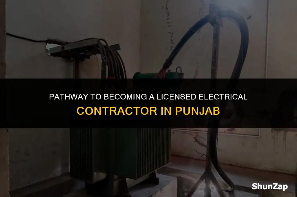 how to get electrical contractor licence in punjab