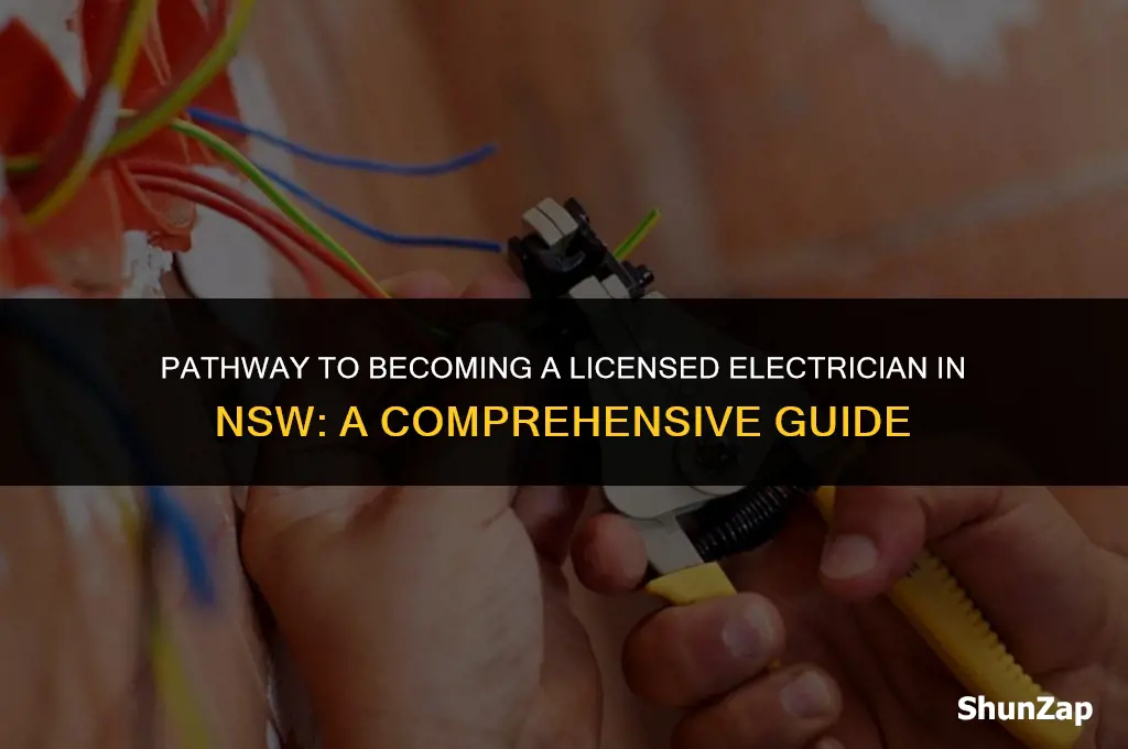 how to get electrical contractors licence nsw
