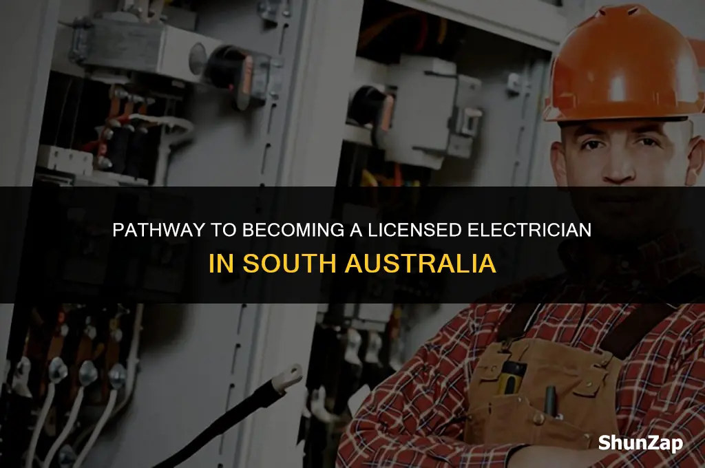 how to get electrical contractors licence sa