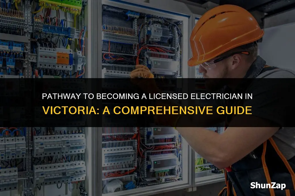 how to get electrical contractors licence vic