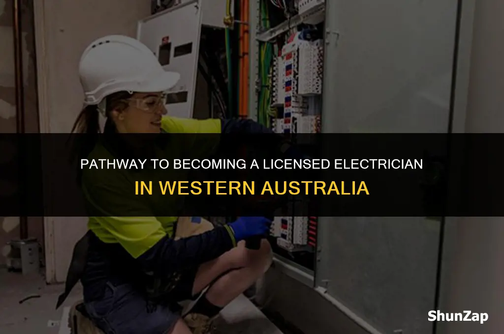 how to get electrical contractors licence wa
