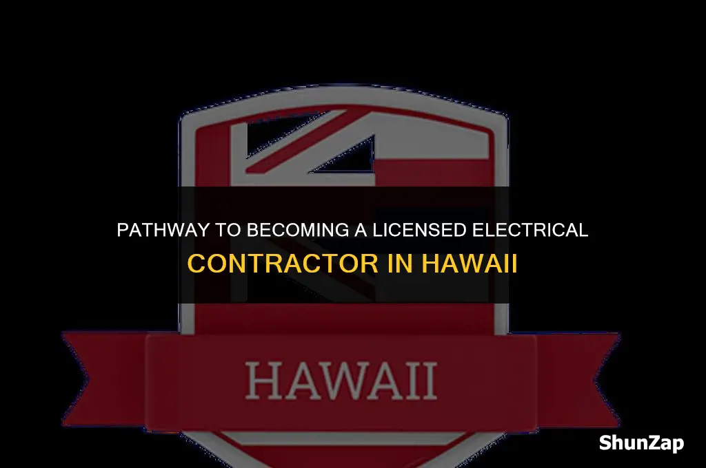 how to get electrical contractors license hawaii