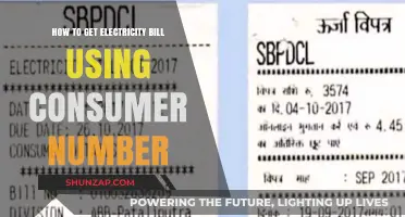 Easy Steps to Retrieve Your Electricity Bill Using Consumer Number