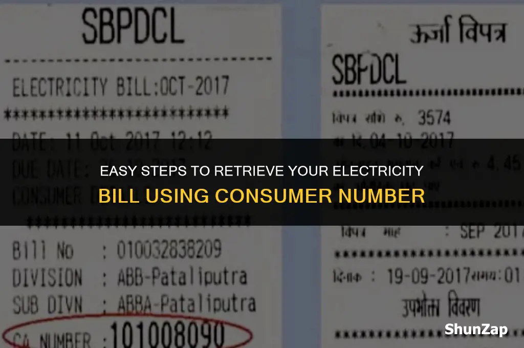 how to get electricity bill using consumer number
