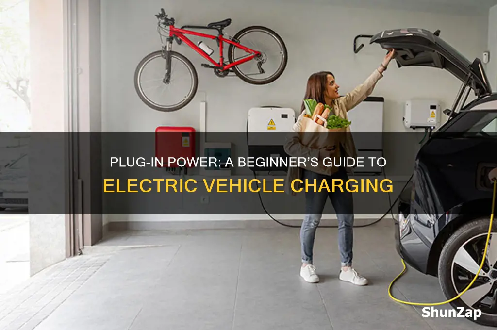 how to get electricity plug in my car