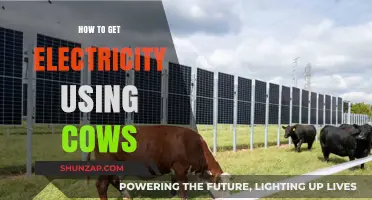 Harnessing Bovine Power: A Sustainable Guide to Cow-Generated Electricity