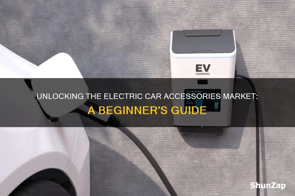 how to get into the electric car accessories