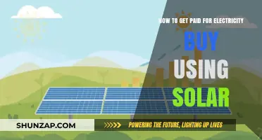 Maximize Your Solar Investment: A Guide to Getting Paid for Your Electricity