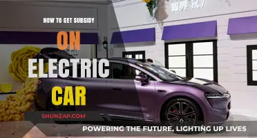 Unlocking Savings: A Guide to Securing Electric Car Subsidies