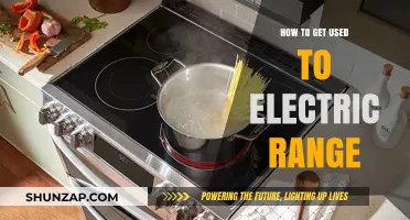 Mastering the Electric Range: A Beginner's Guide to Smooth Cooking