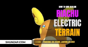 Electric Alolan Raichu: Using Electric Terrain