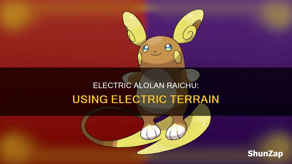 how to give alolan riachu electric terrain