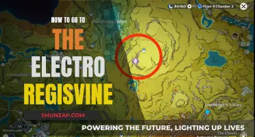 Guide to Electro Regisvine: Tips and Tricks