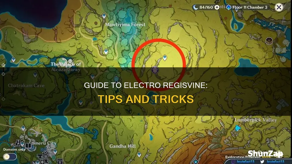 how to go to the electro regisvine