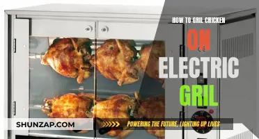 Mastering Chicken on the Electric Grill