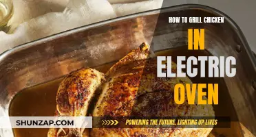 Mastering Chicken Grilling in an Electric Oven