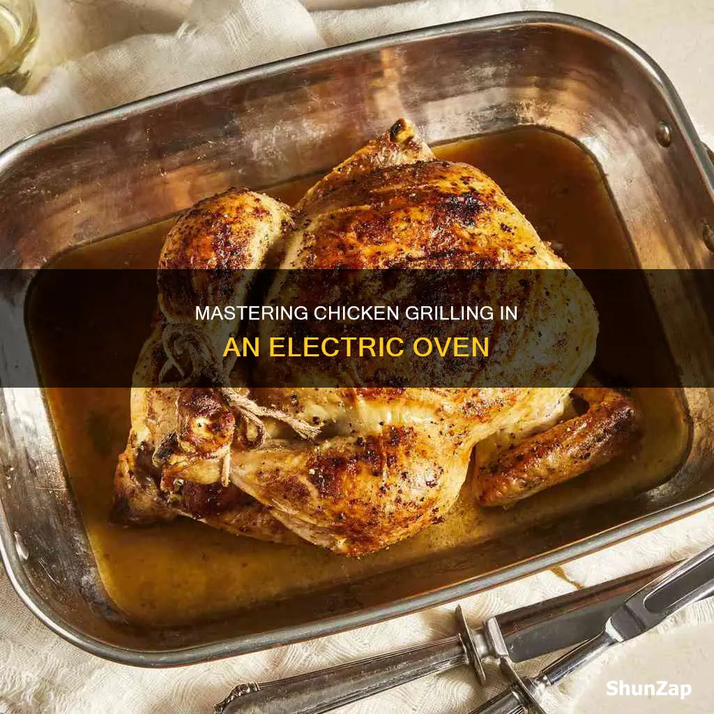 how to grill chicken in electric oven