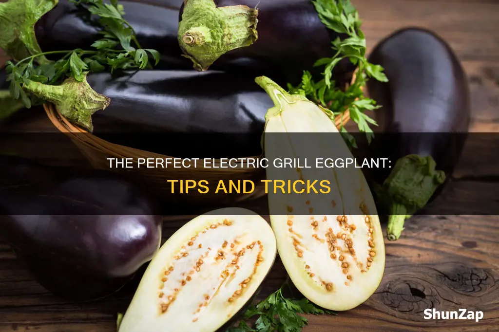 how to grill eggplant on electric grill