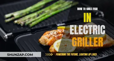 Mastering Electric Griller Fish: Tips and Tricks