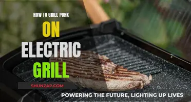Mastering Pork on the Electric Grill